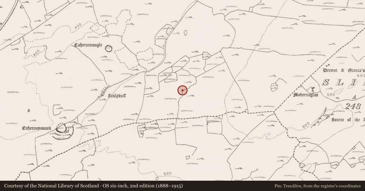 Ordnance Survey six-inch map, 2nd edition (1888–1915) covering the location of Hut site, Tullycommon, County Clare, with a pin at the register's coordinates