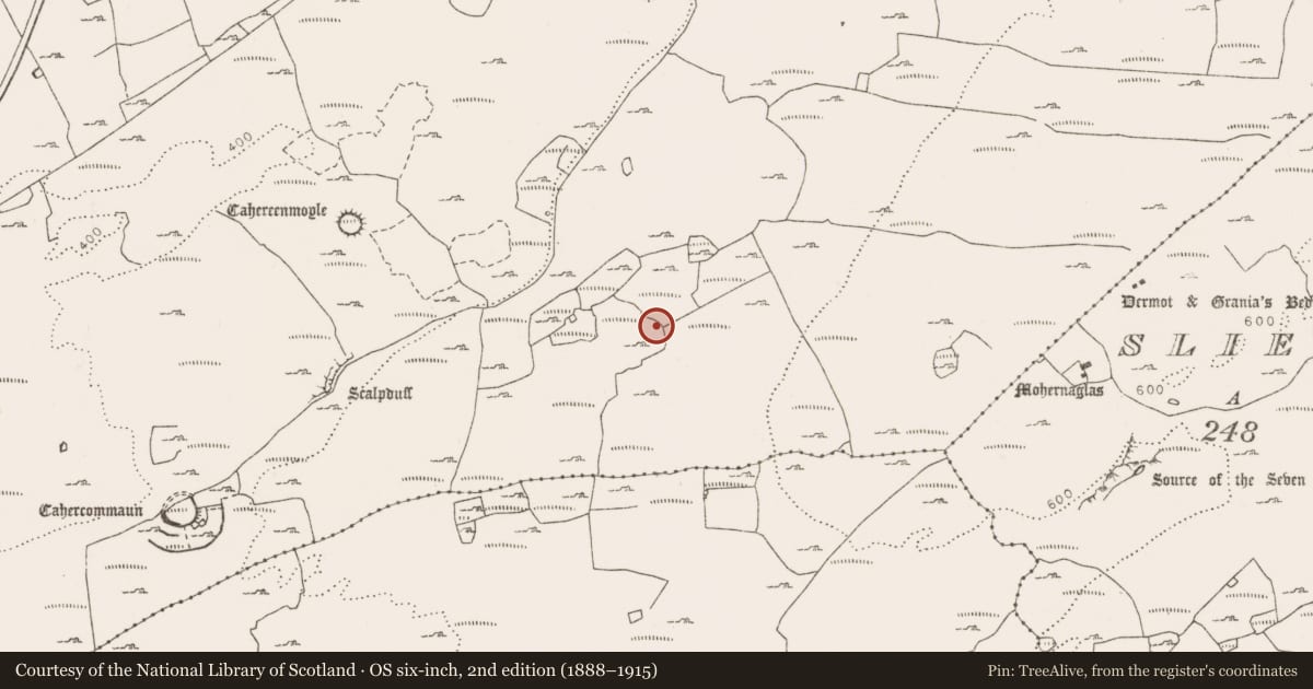 Ordnance Survey six-inch map, 2nd edition (1888–1915) covering the location of Cairn - unclassified, Tullycommon, County Clare, with a pin at the register's coordinates