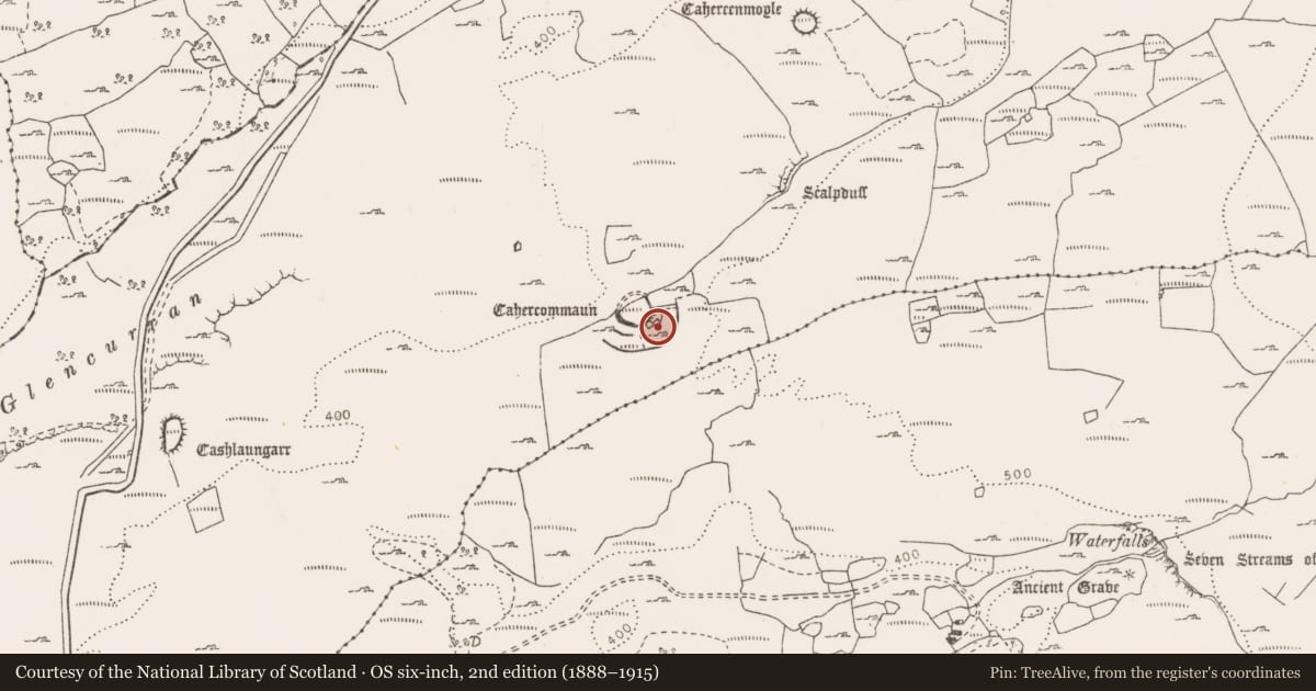 Ordnance Survey six-inch map, 2nd edition (1888–1915) covering the location of Hut site, Tullycommon, County Clare, with a pin at the register's coordinates