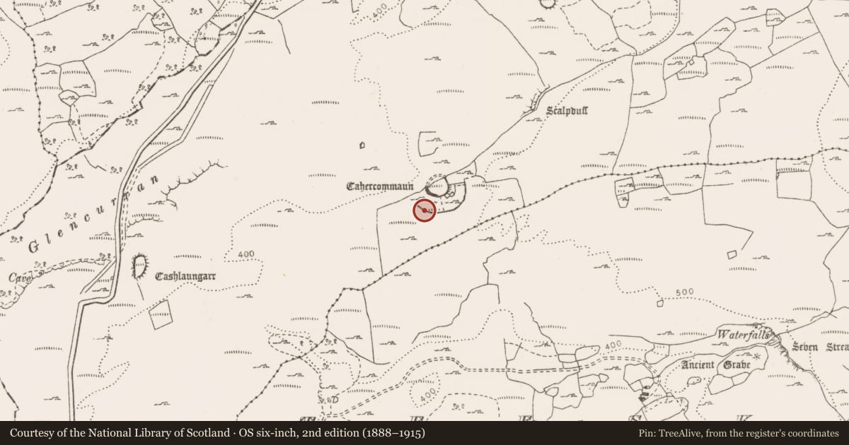 Ordnance Survey six-inch map, 2nd edition (1888–1915) covering the location of Hut site, Tullycommon, County Clare, with a pin at the register's coordinates