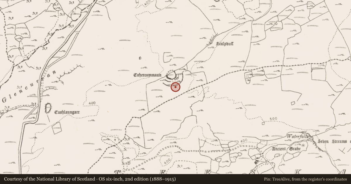 Ordnance Survey six-inch map, 2nd edition (1888–1915) covering the location of Hut site, Tullycommon, County Clare, with a pin at the register's coordinates