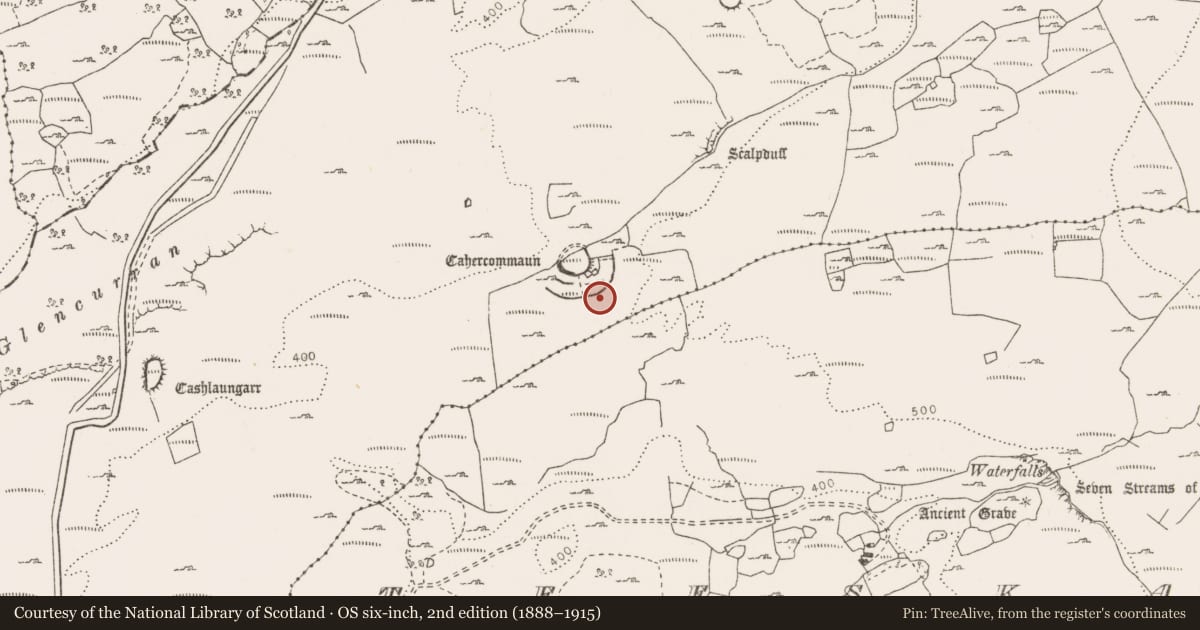 Ordnance Survey six-inch map, 2nd edition (1888–1915) covering the location of Hut site, Tullycommon, County Clare, with a pin at the register's coordinates