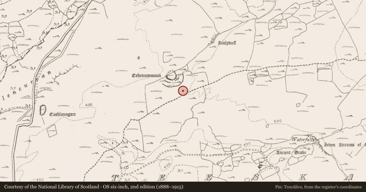 Ordnance Survey six-inch map, 2nd edition (1888–1915) covering the location of Hut site, Tullycommon, County Clare, with a pin at the register's coordinates