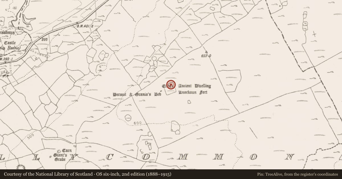 Ordnance Survey six-inch map, 2nd edition (1888–1915) covering the location of Hut site, Tullycommon, County Clare, with a pin at the register's coordinates