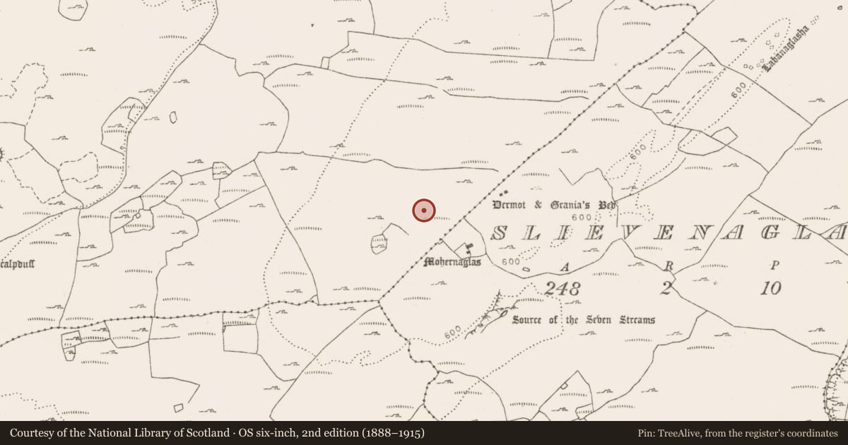Ordnance Survey six-inch map, 2nd edition (1888–1915) covering the location of Enclosure, Tullycommon, County Clare, with a pin at the register's coordinates