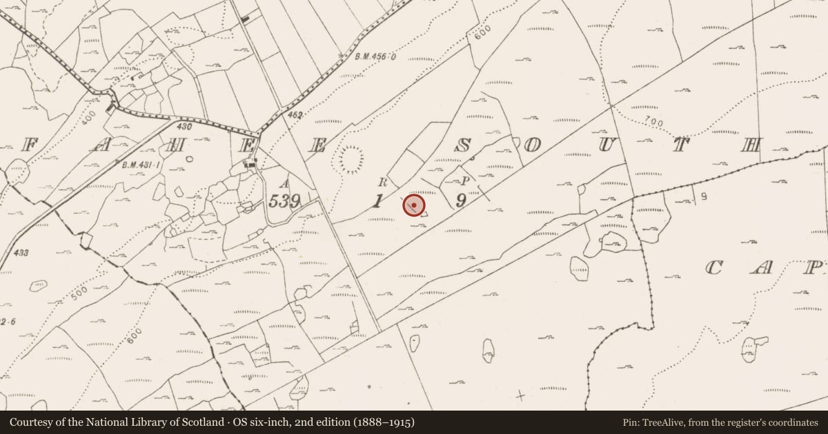 Ordnance Survey six-inch map, 2nd edition (1888–1915) covering the location of Hut site, Fahee South, County Clare, with a pin at the register's coordinates