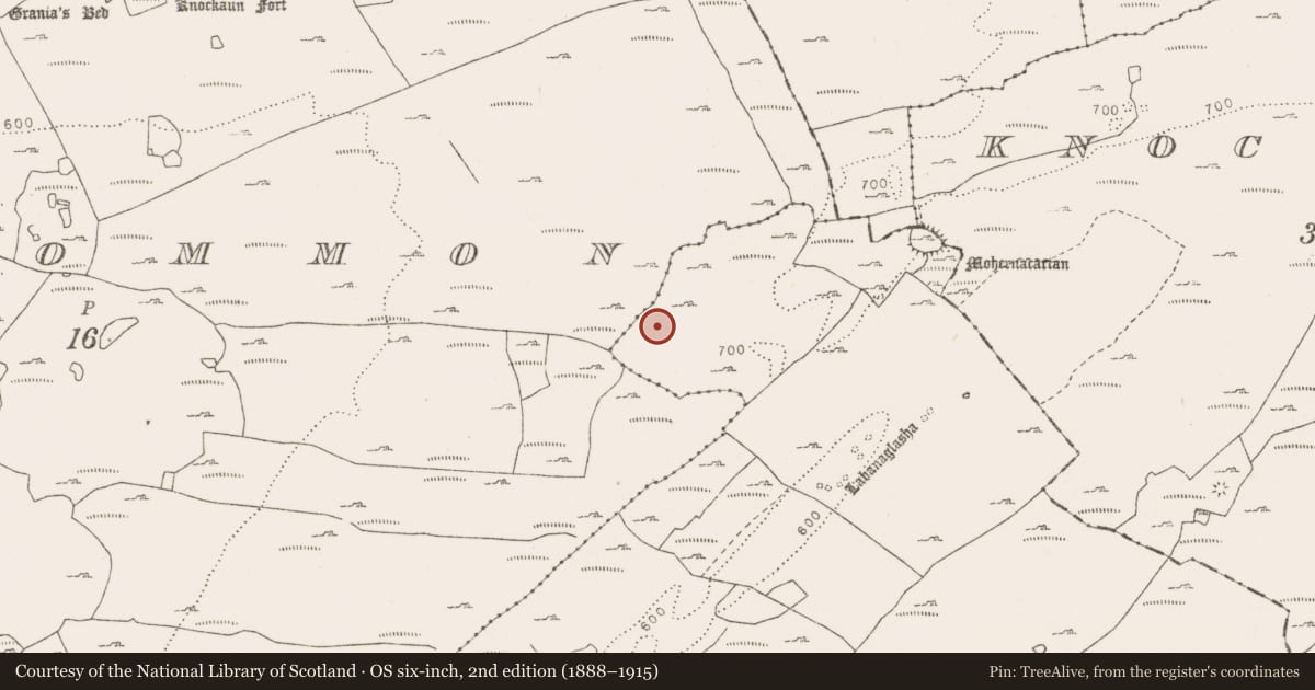 Ordnance Survey six-inch map, 2nd edition (1888–1915) covering the location of Cist, Slievenaglasha, County Clare, with a pin at the register's coordinates