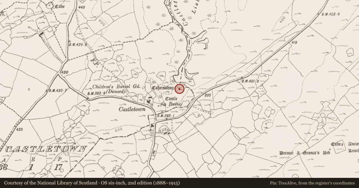 Ordnance Survey six-inch map, 2nd edition (1888–1915) covering the location of Ringfort - cashel, Tullycommon, Castletown, County Clare, with a pin at the register's coordinates