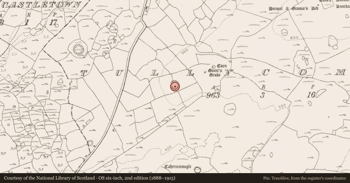 Ordnance Survey six-inch map, 2nd edition (1888–1915) covering the location of Enclosure, Tullycommon, County Clare, with a pin at the register's coordinates