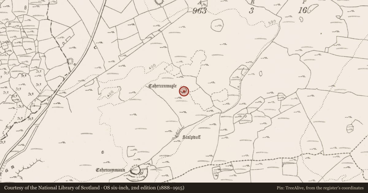 Ordnance Survey six-inch map, 2nd edition (1888–1915) covering the location of Ringfort - cashel, Tullycommon, County Clare, with a pin at the register's coordinates