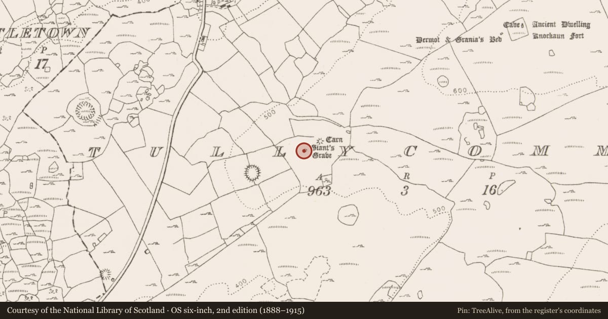 Ordnance Survey six-inch map, 2nd edition (1888–1915) covering the location of Megalithic structure, Tullycommon, County Clare, with a pin at the register's coordinates
