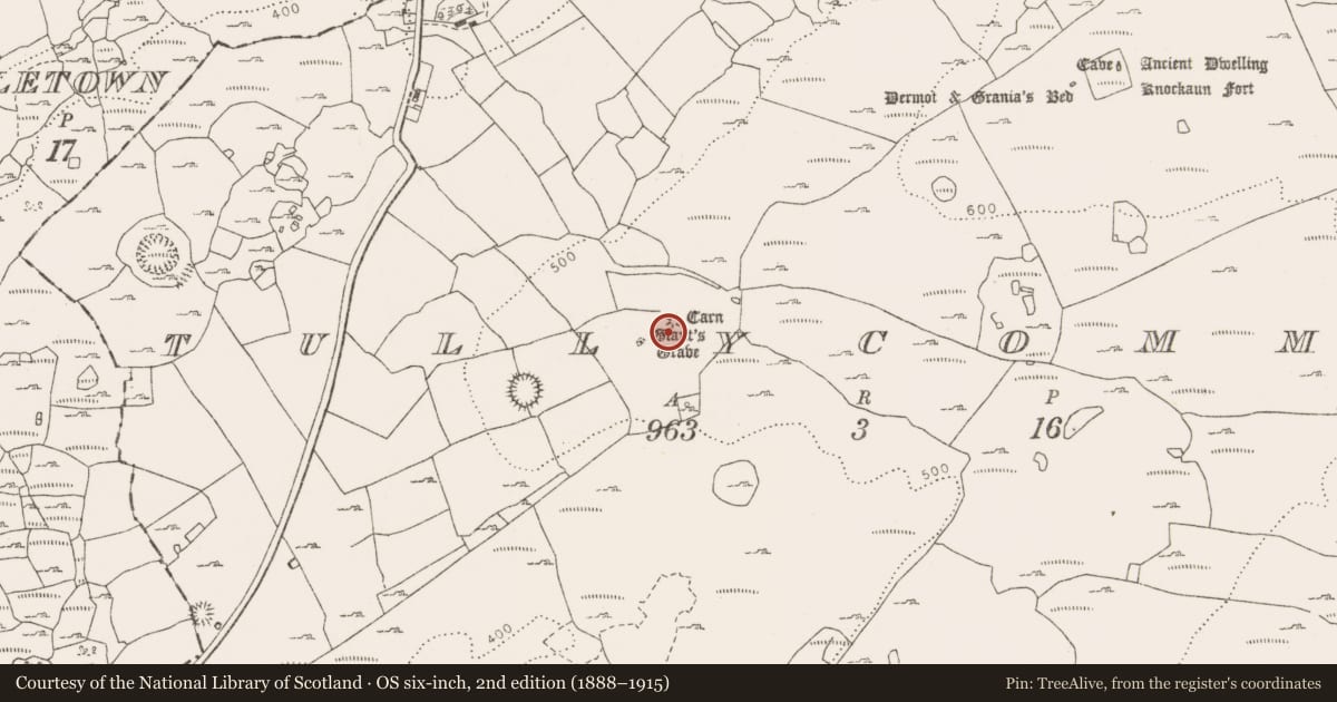Ordnance Survey six-inch map, 2nd edition (1888–1915) covering the location of Hut site, Tullycommon, County Clare, with a pin at the register's coordinates