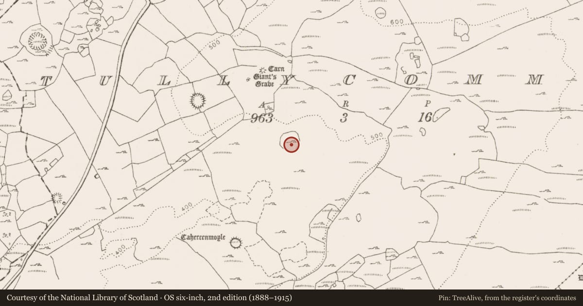 Ordnance Survey six-inch map, 2nd edition (1888–1915) covering the location of Enclosure, Tullycommon, County Clare, with a pin at the register's coordinates