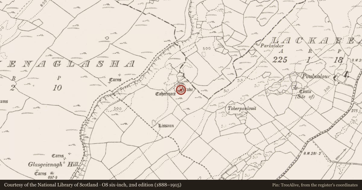 Ordnance Survey six-inch map, 2nd edition (1888–1915) covering the location of Ringfort - cashel, Lackareagh, County Clare, with a pin at the register's coordinates