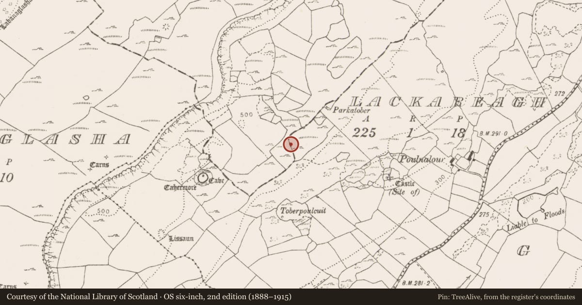 Ordnance Survey six-inch map, 2nd edition (1888–1915) covering the location of Fulacht fia, Lackareagh, County Clare, with a pin at the register's coordinates