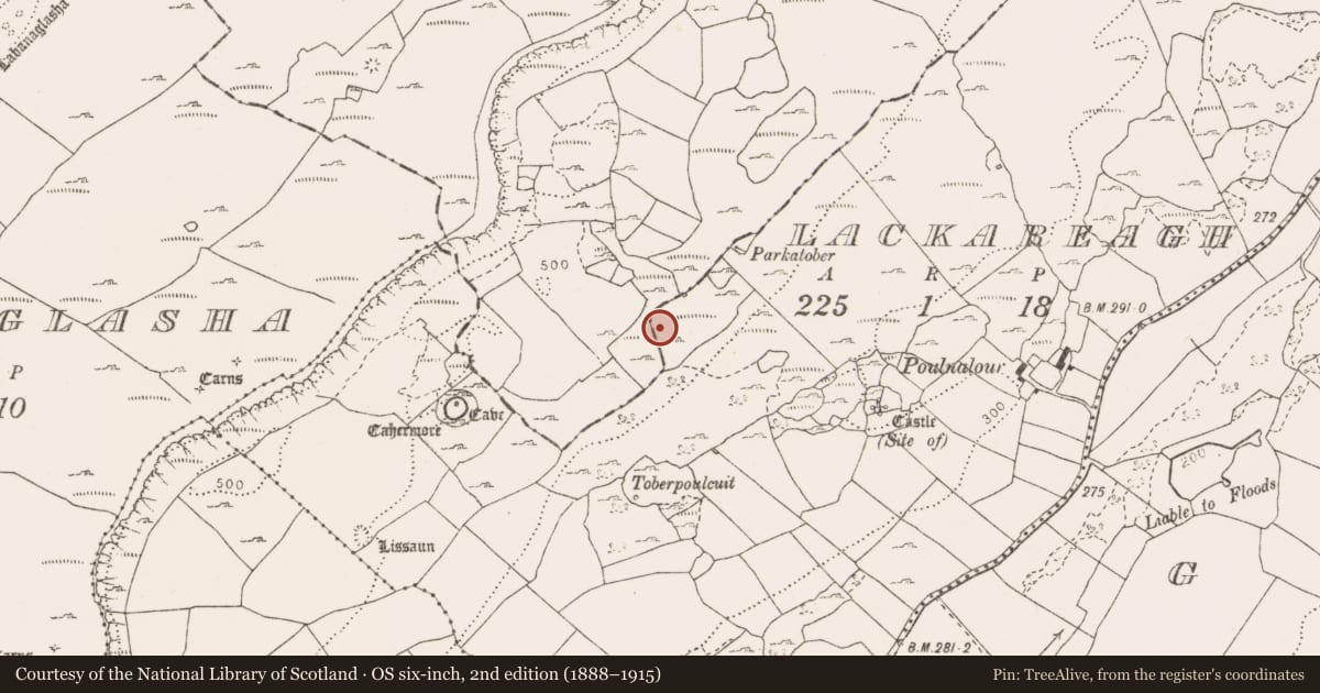 Ordnance Survey six-inch map, 2nd edition (1888–1915) covering the location of Fulacht fia, Lackareagh, County Clare, with a pin at the register's coordinates