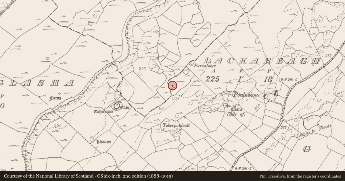 Ordnance Survey six-inch map, 2nd edition (1888–1915) covering the location of Fulacht fia, Lackareagh, County Clare, with a pin at the register's coordinates
