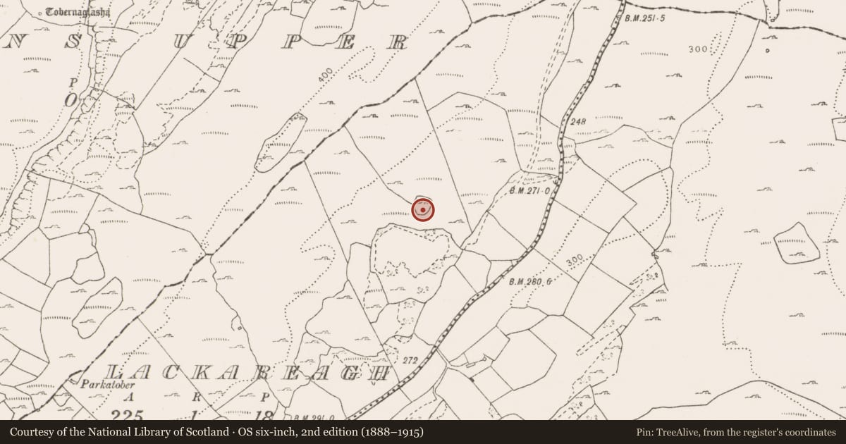 Ordnance Survey six-inch map, 2nd edition (1888–1915) covering the location of Enclosure, Lackareagh, County Clare, with a pin at the register's coordinates