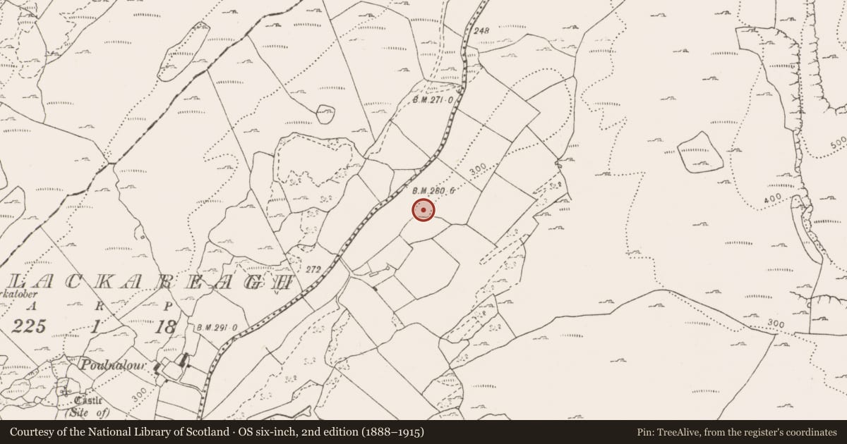 Ordnance Survey six-inch map, 2nd edition (1888–1915) covering the location of Ringfort - rath, Glenquin, County Clare, with a pin at the register's coordinates