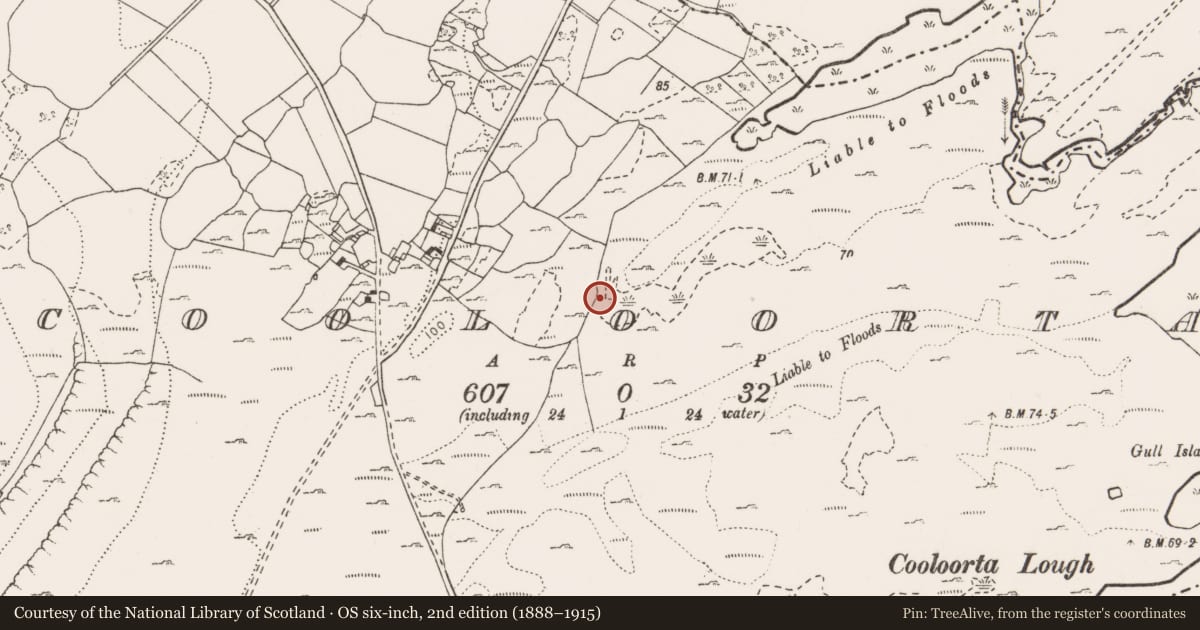 Ordnance Survey six-inch map, 2nd edition (1888–1915) covering the location of Fulacht fia, Cooloorta, County Clare, with a pin at the register's coordinates