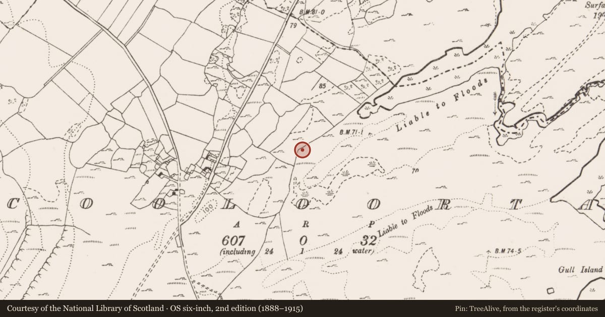 Ordnance Survey six-inch map, 2nd edition (1888–1915) covering the location of Fulacht fia, Cooloorta, County Clare, with a pin at the register's coordinates