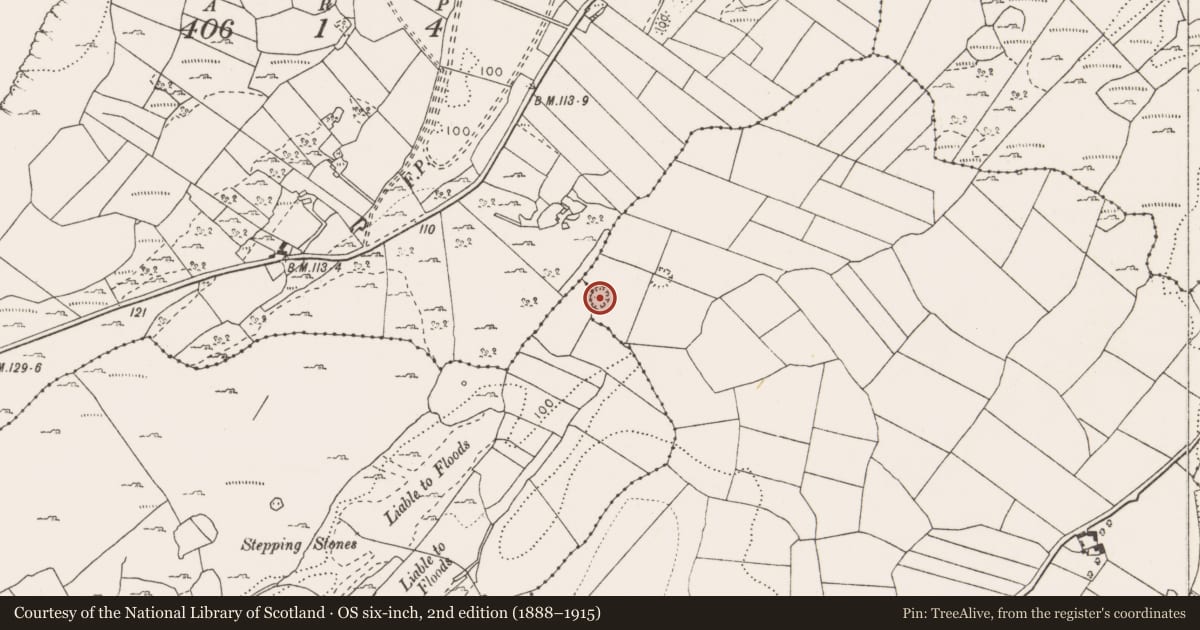 Ordnance Survey six-inch map, 2nd edition (1888–1915) covering the location of Ringfort - cashel, Carrownagoul, Leitra, County Clare, with a pin at the register's coordinates