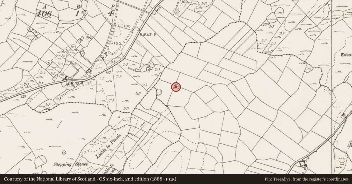 Ordnance Survey six-inch map, 2nd edition (1888–1915) covering the location of Ringfort - unclassified, Carrownagoul, County Clare, with a pin at the register's coordinates