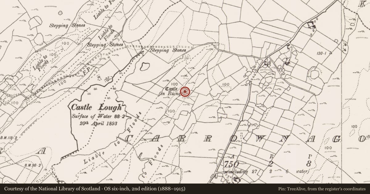 Ordnance Survey six-inch map, 2nd edition (1888–1915) covering the location of Castle - tower house, Carrownagoul, County Clare, with a pin at the register's coordinates