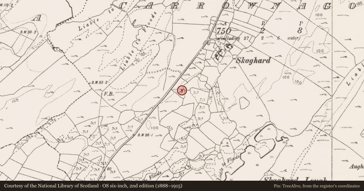 Ordnance Survey six-inch map, 2nd edition (1888–1915) covering the location of Ringfort - cashel, Carrownagoul, County Clare, with a pin at the register's coordinates