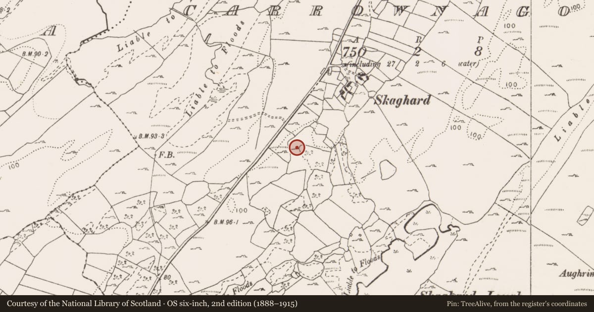 Ordnance Survey six-inch map, 2nd edition (1888–1915) covering the location of Ringfort - unclassified, Carrownagoul, County Clare, with a pin at the register's coordinates