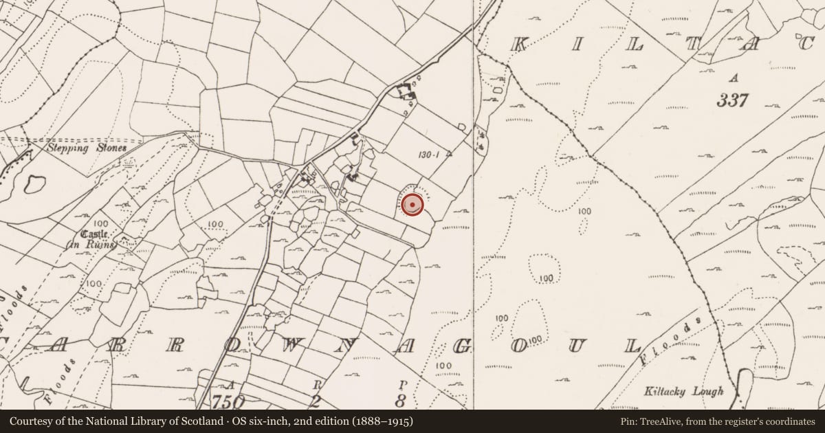 Ordnance Survey six-inch map, 2nd edition (1888–1915) covering the location of Enclosure, Carrownagoul, County Clare, with a pin at the register's coordinates