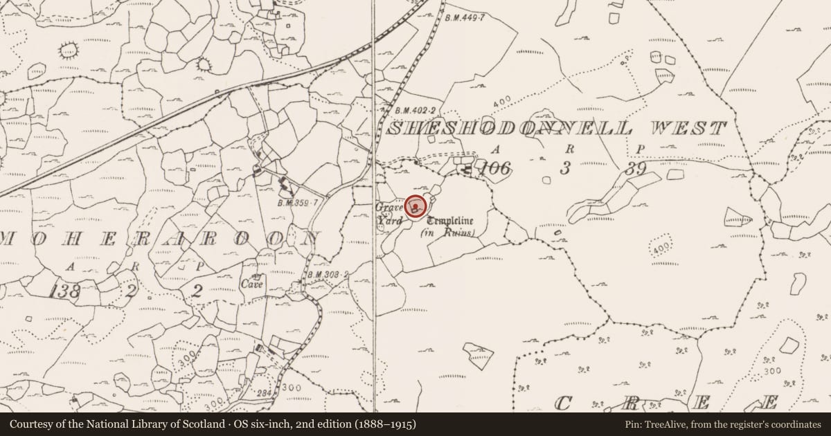 Ordnance Survey six-inch map, 2nd edition (1888–1915) covering the location of Ecclesiastical enclosure, Ballyline, County Clare, with a pin at the register's coordinates