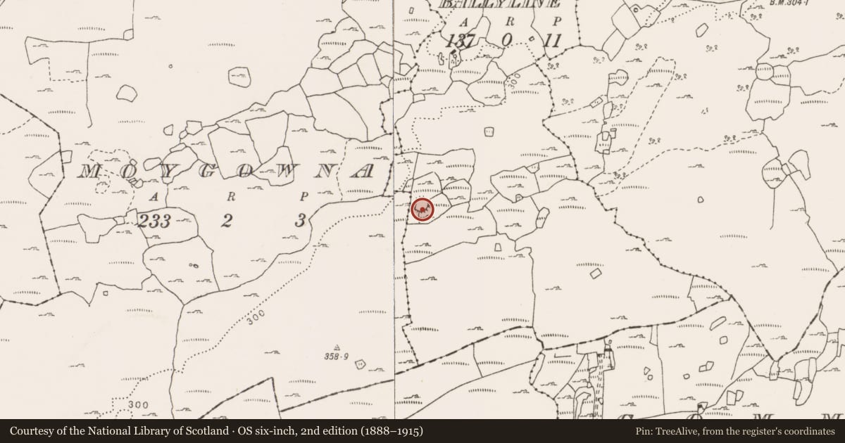 Ordnance Survey six-inch map, 2nd edition (1888–1915) covering the location of Ringfort - cashel, Ballyline, County Clare, with a pin at the register's coordinates