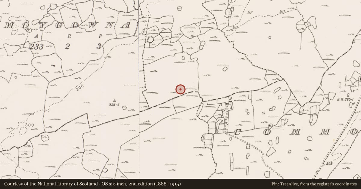Ordnance Survey six-inch map, 2nd edition (1888–1915) covering the location of Megalithic tomb - unclassified, Ballyline, County Clare, with a pin at the register's coordinates