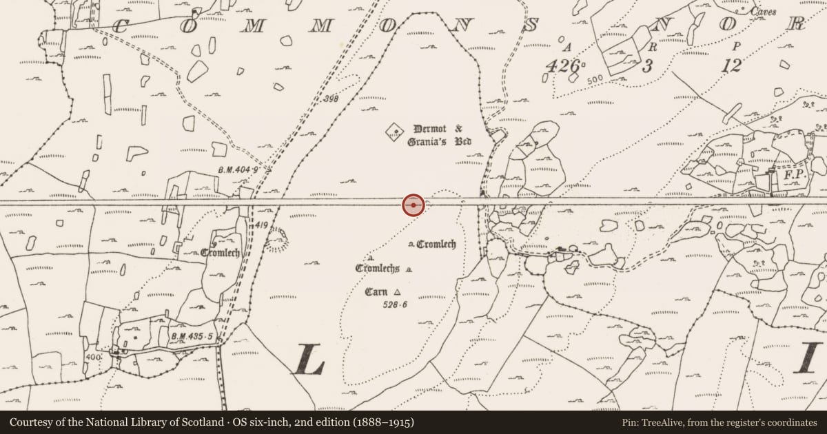 Ordnance Survey six-inch map, 2nd edition (1888–1915) covering the location of Megalithic tomb - wedge tomb, Leana, County Clare, with a pin at the register's coordinates