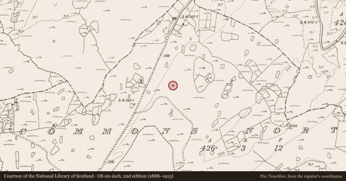 Ordnance Survey six-inch map, 2nd edition (1888–1915) covering the location of Megalithic tomb - wedge tomb, Commons North, County Clare, with a pin at the register's coordinates
