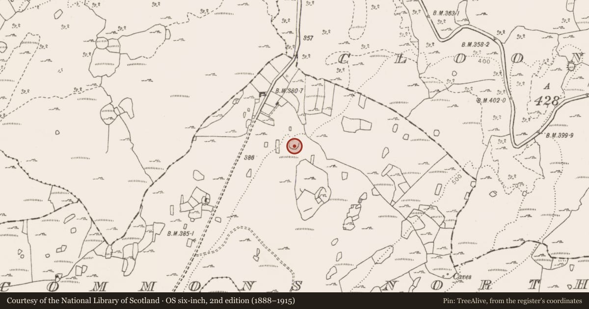 Ordnance Survey six-inch map, 2nd edition (1888–1915) covering the location of Enclosure, Commons North, County Clare, with a pin at the register's coordinates