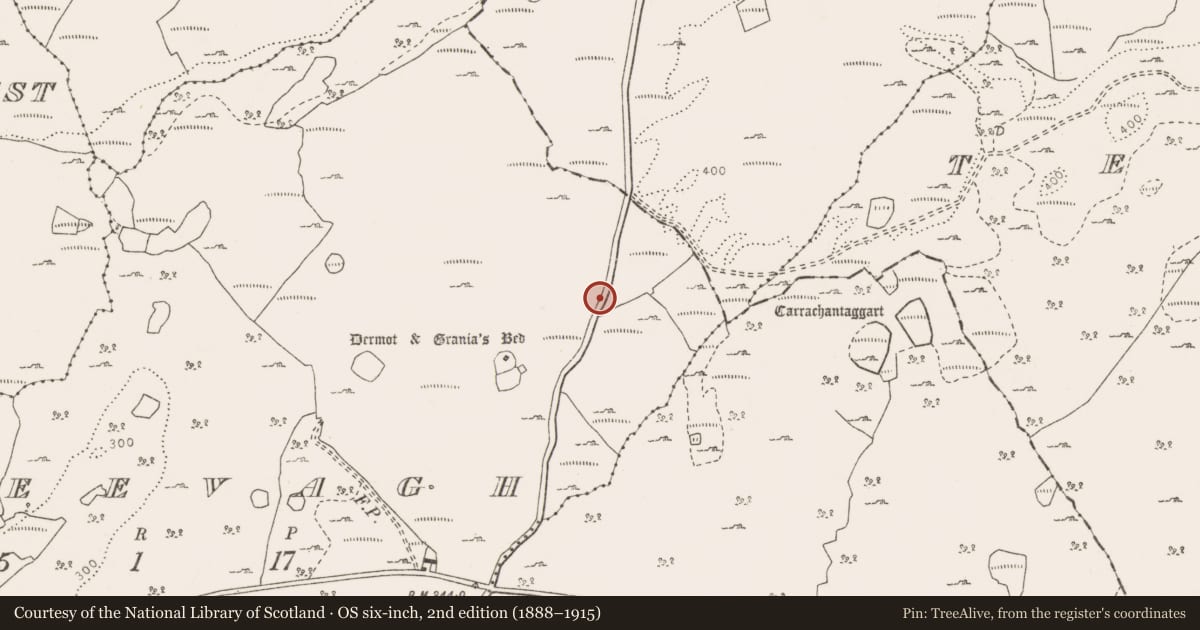 Ordnance Survey six-inch map, 2nd edition (1888–1915) covering the location of Cairn - unclassified, Creevagh, County Clare, with a pin at the register's coordinates