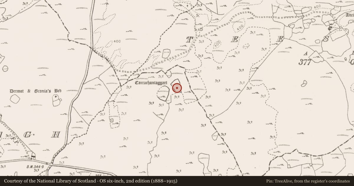 Ordnance Survey six-inch map, 2nd edition (1888–1915) covering the location of Enclosure, Clooncoose, County Clare, with a pin at the register's coordinates