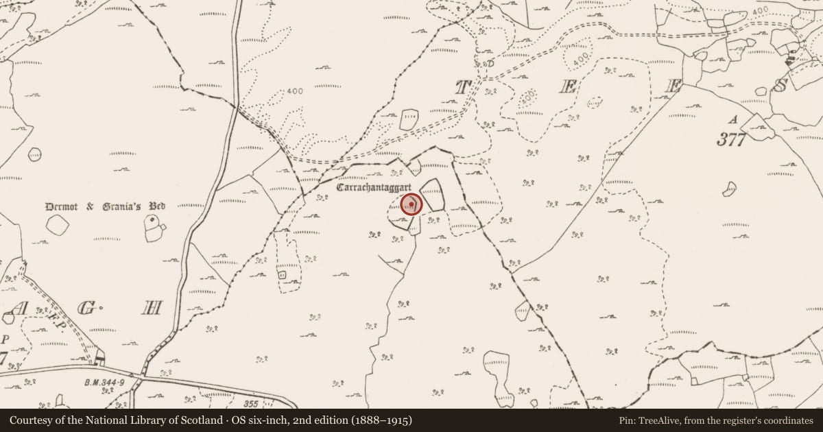 Ordnance Survey six-inch map, 2nd edition (1888–1915) covering the location of Cave, Clooncoose, County Clare, with a pin at the register's coordinates