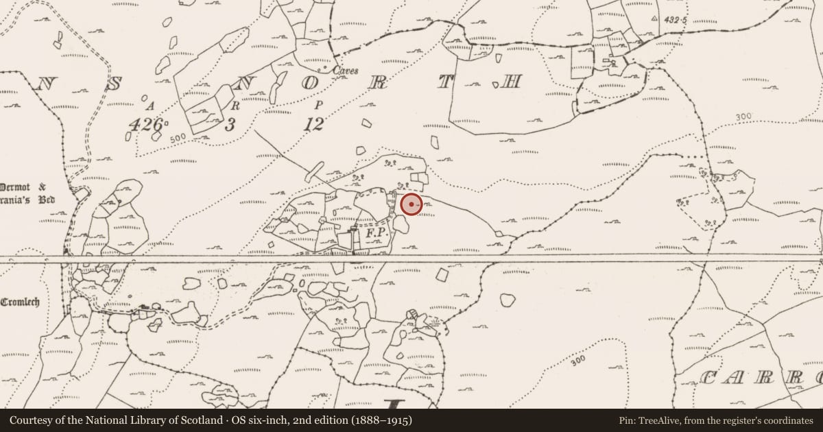 Ordnance Survey six-inch map, 2nd edition (1888–1915) covering the location of Fulacht fia, Commons North, County Clare, with a pin at the register's coordinates