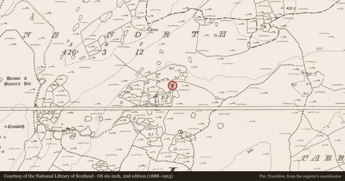 Ordnance Survey six-inch map, 2nd edition (1888–1915) covering the location of Fulacht fia, Commons North, County Clare, with a pin at the register's coordinates