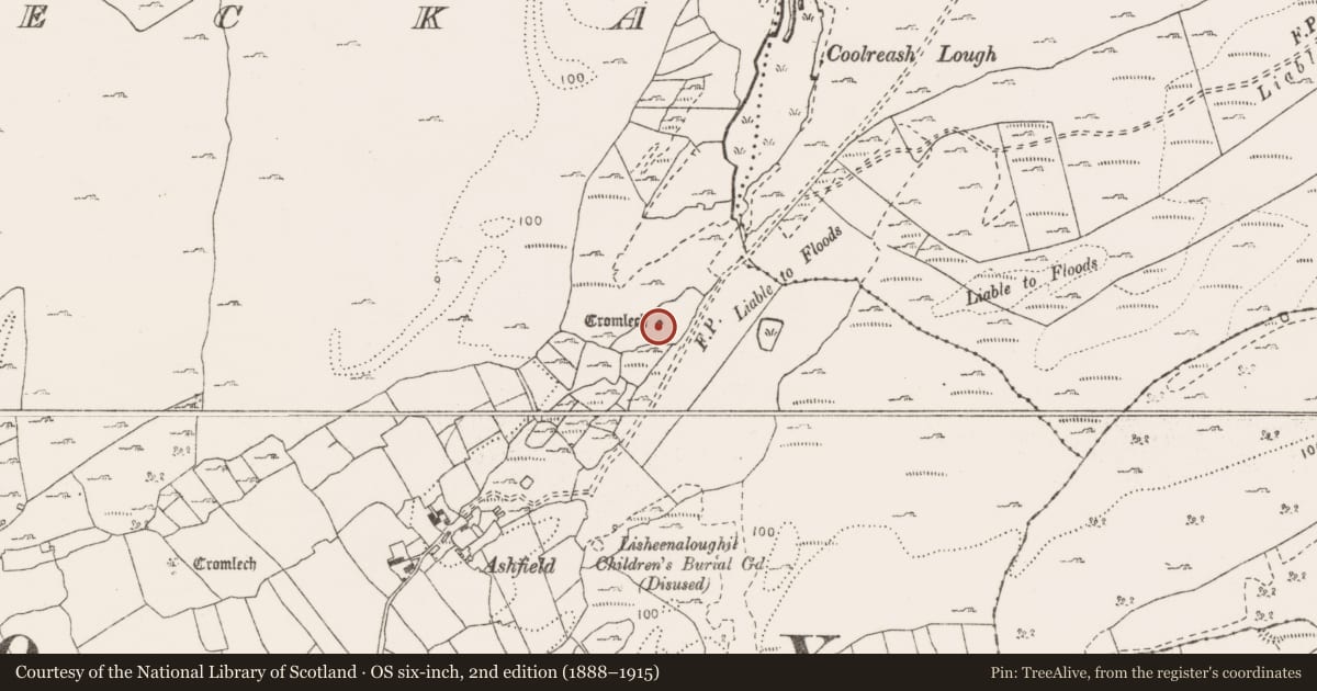 Ordnance Survey six-inch map, 2nd edition (1888–1915) covering the location of Megalithic tomb - wedge tomb, Gortlecka, County Clare, with a pin at the register's coordinates
