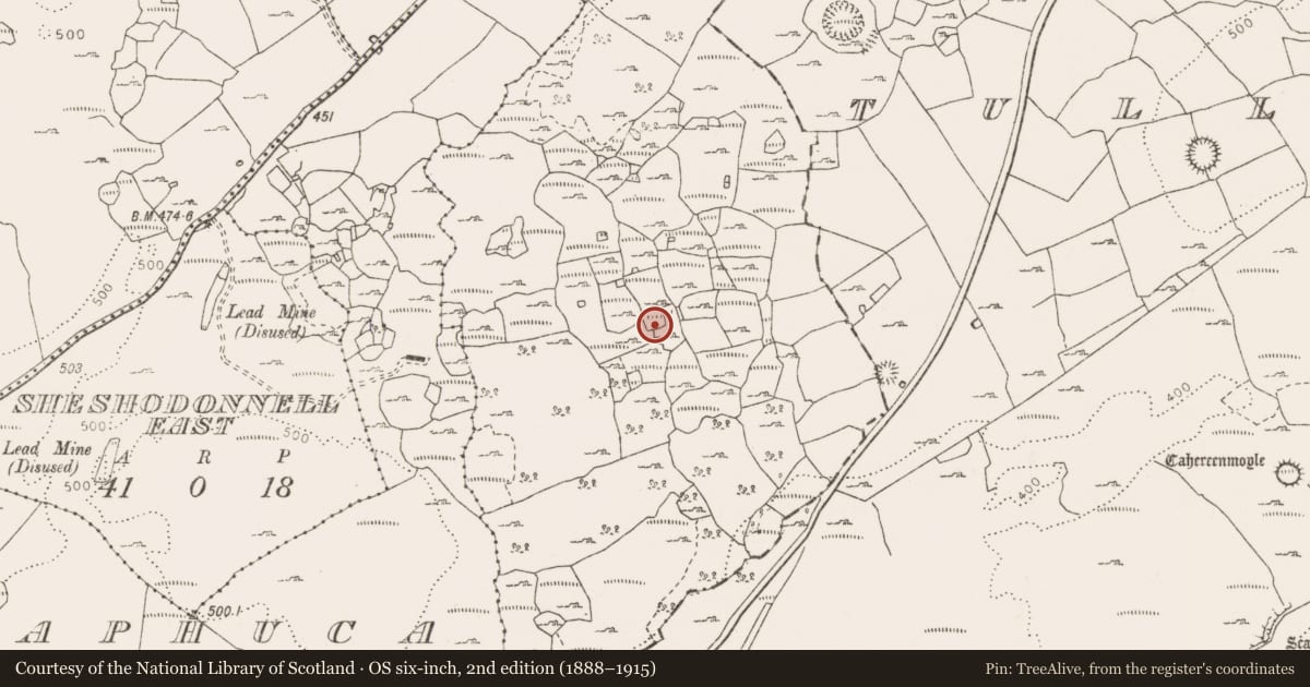 Ordnance Survey six-inch map, 2nd edition (1888–1915) covering the location of Ringfort - cashel, Castletown, County Clare, with a pin at the register's coordinates