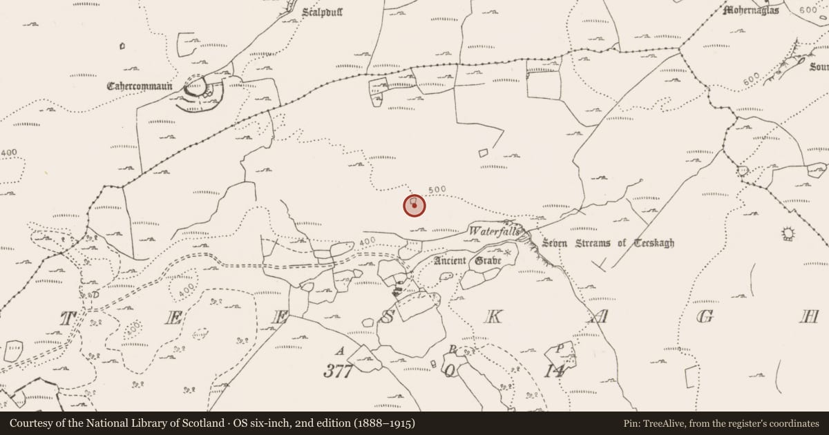 Ordnance Survey six-inch map, 2nd edition (1888–1915) covering the location of Enclosure, Teeskagh, County Clare, with a pin at the register's coordinates