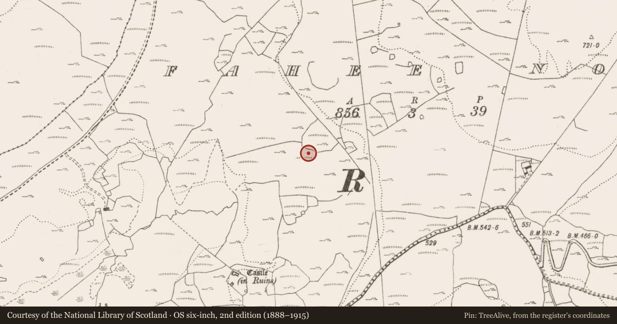 Ordnance Survey six-inch map, 2nd edition (1888–1915) covering the location of Fulacht fia, Fahee North, County Clare, with a pin at the register's coordinates