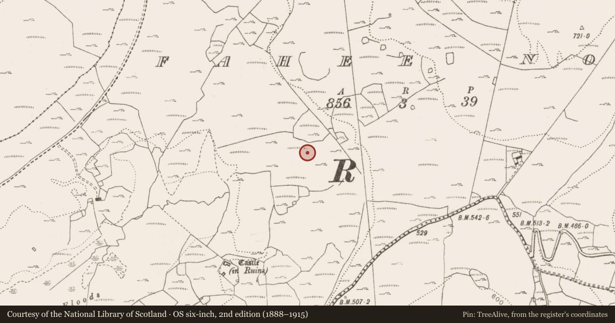 Ordnance Survey six-inch map, 2nd edition (1888–1915) covering the location of Fulacht fia, Fahee North, County Clare, with a pin at the register's coordinates
