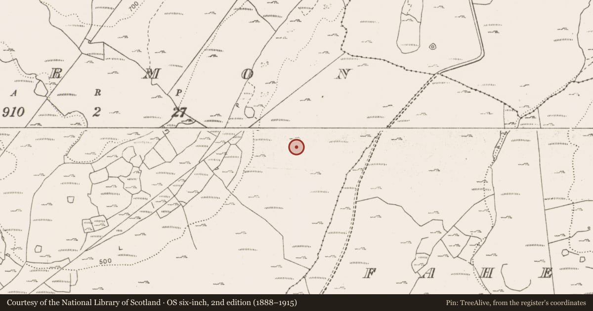 Ordnance Survey six-inch map, 2nd edition (1888–1915) covering the location of Fulacht fia, Termon, County Clare, with a pin at the register's coordinates