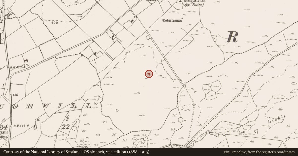 Ordnance Survey six-inch map, 2nd edition (1888–1915) covering the location of Fulacht fia, Termon, County Clare, with a pin at the register's coordinates