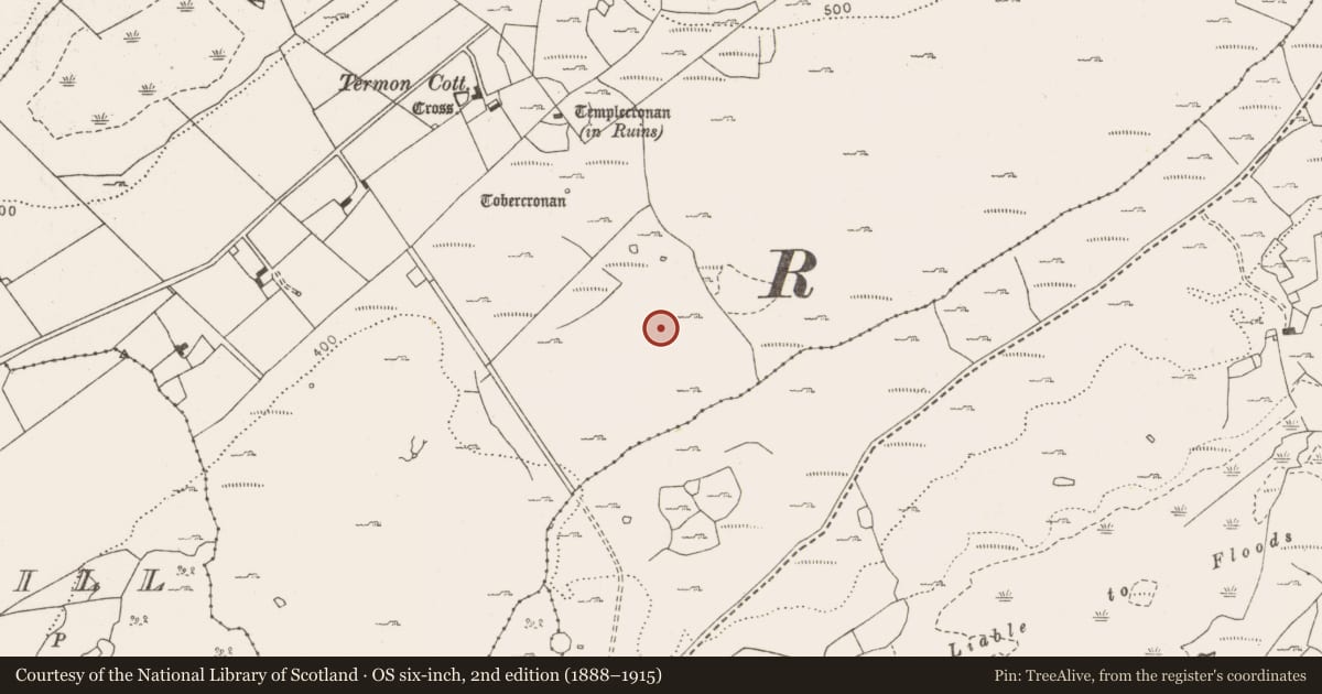 Ordnance Survey six-inch map, 2nd edition (1888–1915) covering the location of Quarry, Termon, County Clare, with a pin at the register's coordinates